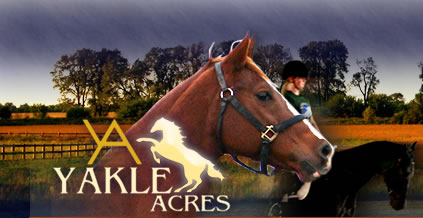 Yakle Acres Horse Boarding & Training Facility
